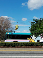 Walt Disney World